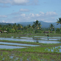 Photo de Bali - Banjar et Gitgit